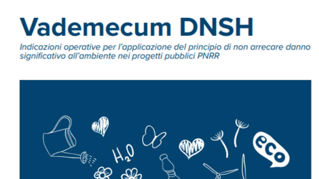 VADEMECUM DNSH - dshn